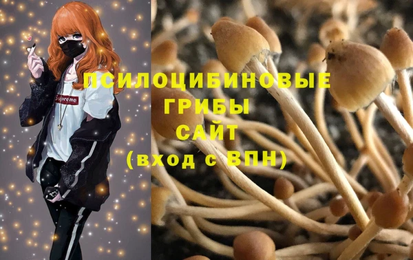 соль ск Верхний Тагил