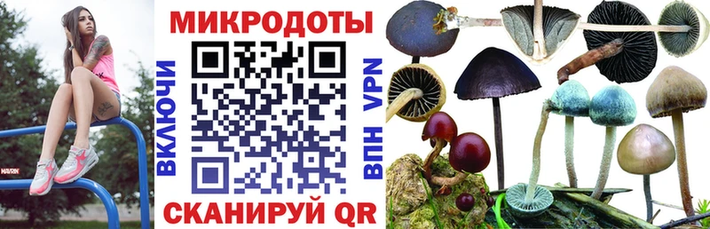 Купить закладки Тобольск Псилоцибиновые грибы мухоморы